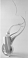 Sculpture.gif